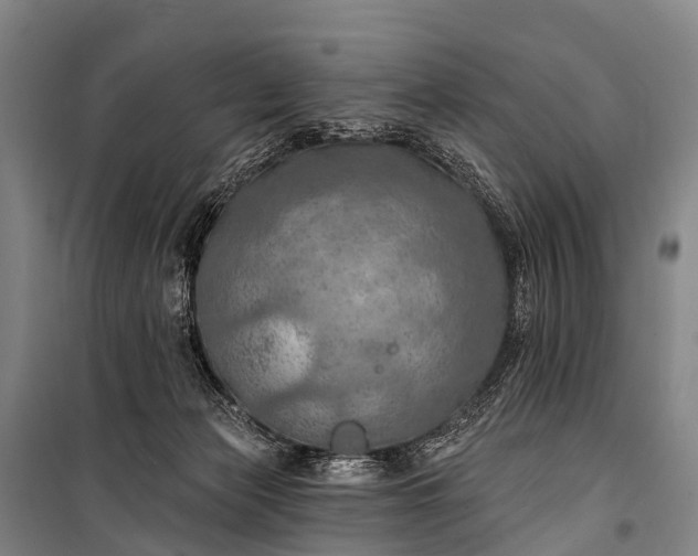 X0000101160173200807111037