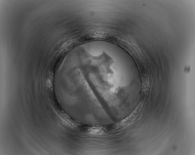 X0000101160175200807111037