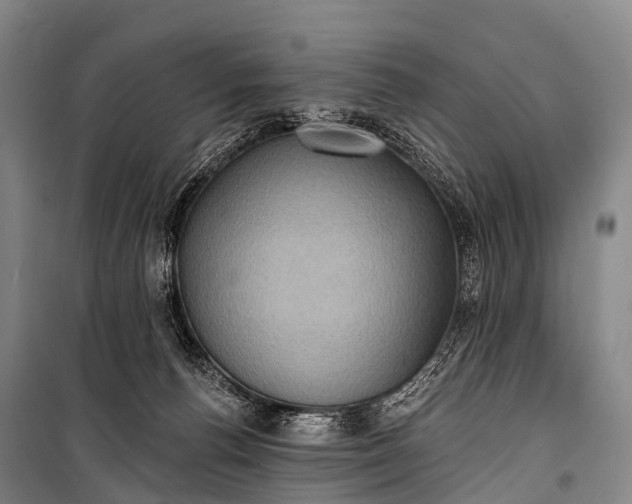 X0000101160176200807111037