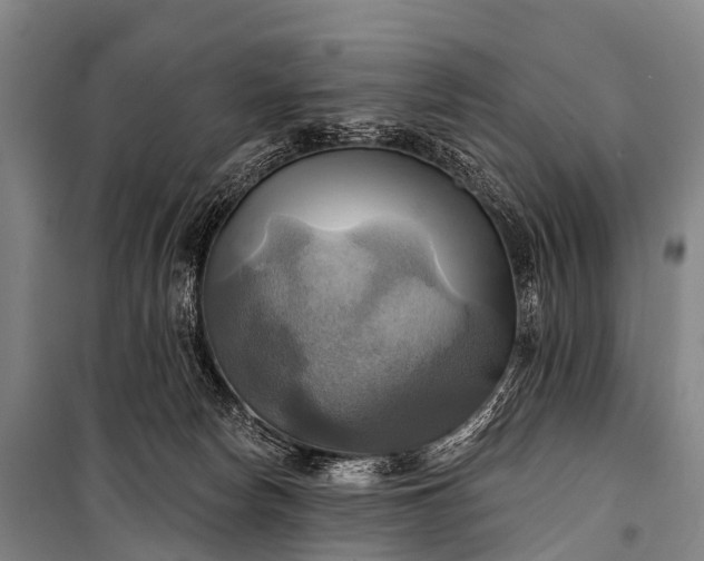 X0000101160178200807111037