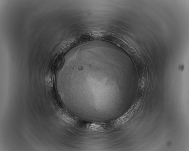 X0000101160180200807111037