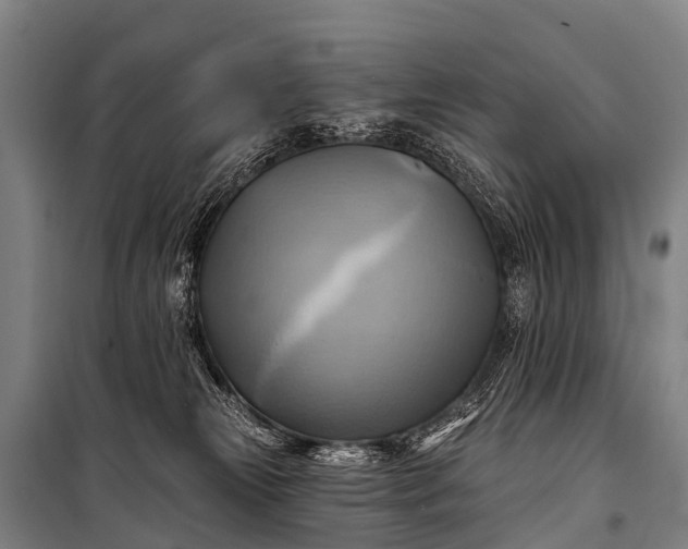 X0000101160181200807111037