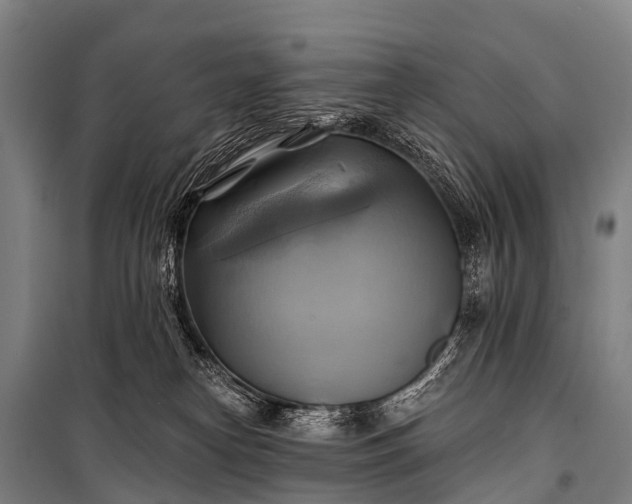 X0000101160182200807111037