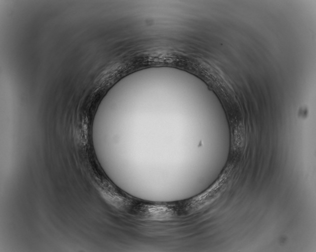 X0000101160183200807111037