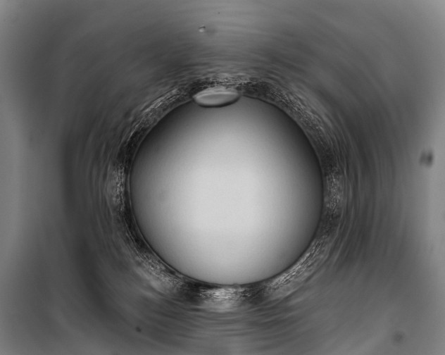 X0000101160184200807111037