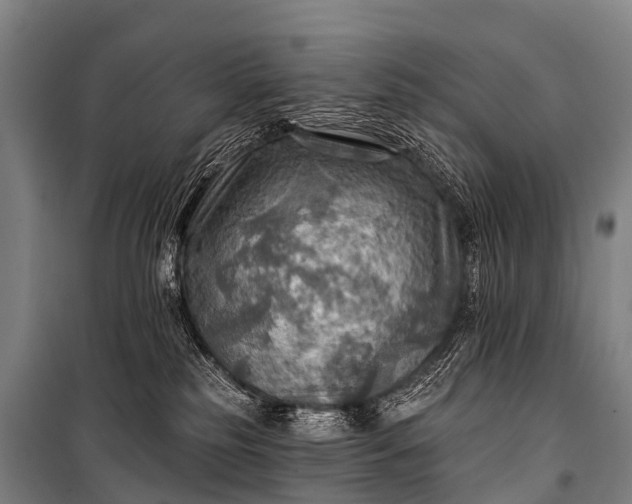 X0000101160185200807111037