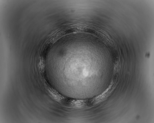 X0000101160186200807111037