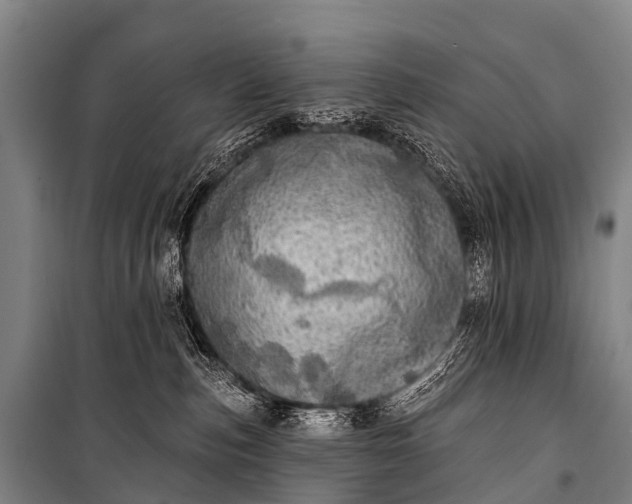 X0000101160187200807111037