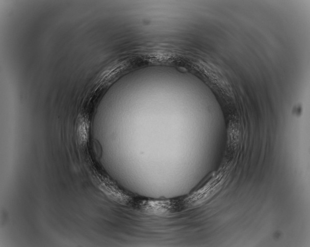 X0000101160188200807111037