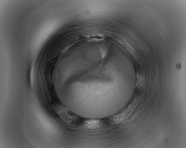 X0000101160189200807111037