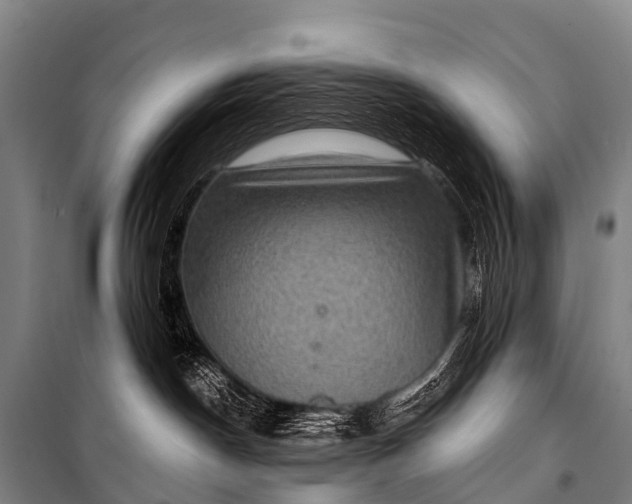 X0000101160190200807111037