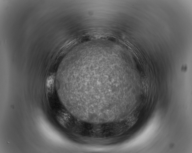 X0000101160191200807111037