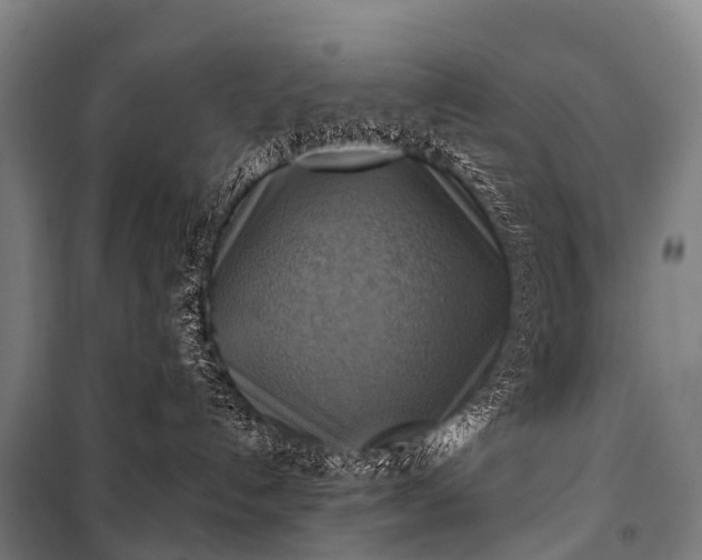 X0000101160192200807111037