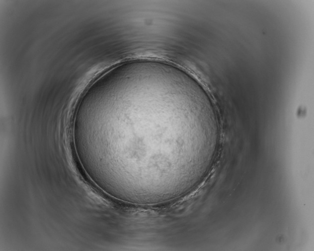 X0000101160193200807111037