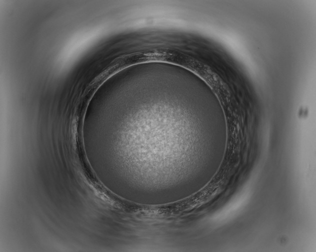 X0000101160194200807111037