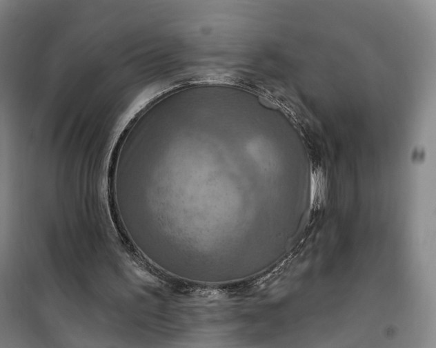 X0000101160195200807111037