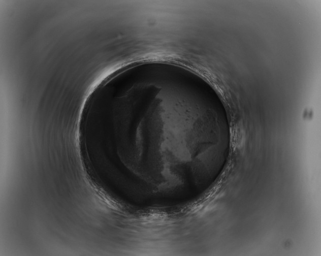 X0000101160196200807111037