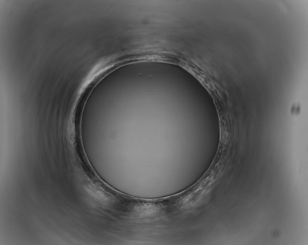 X0000101160198200807111037