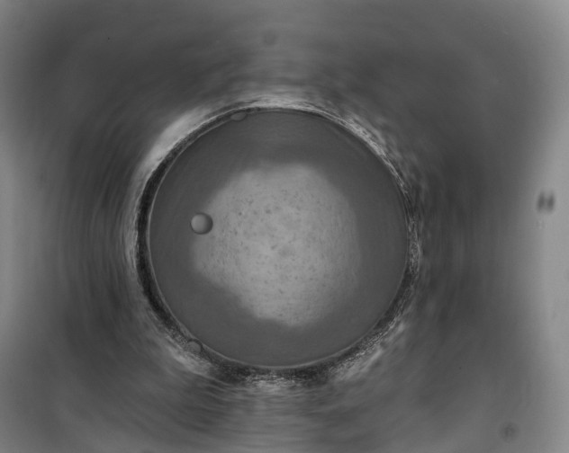 X0000101160199200807111037