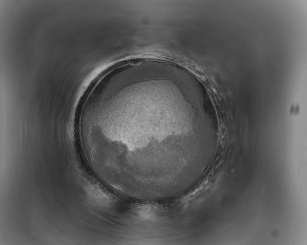 X0000101160200200807111037