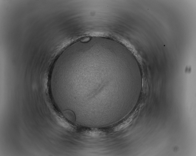 X0000101160201200807111036