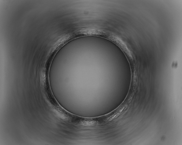 X0000101160202200807111036