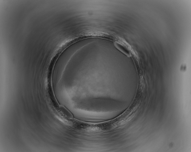 X0000101160203200807111036