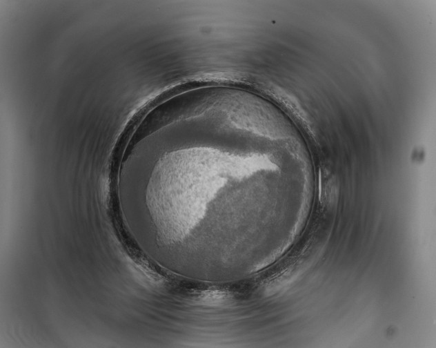 X0000101160204200807111036