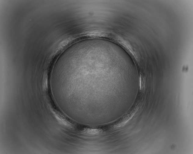 X0000101160205200807111036