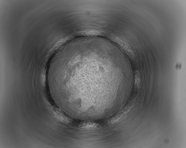 X0000101160206200807111036