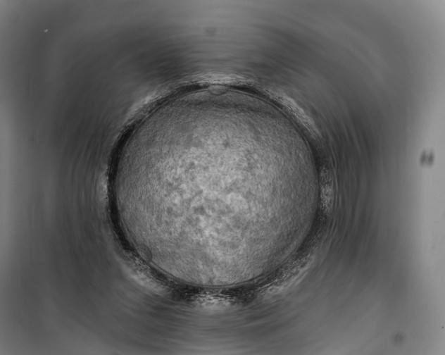 X0000101160207200807111036