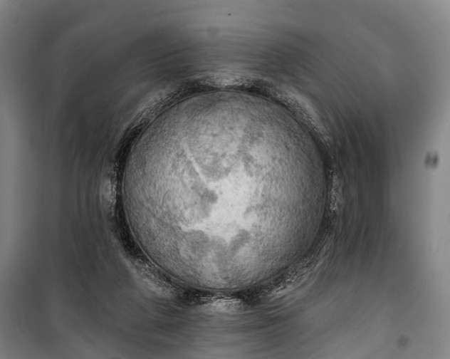 X0000101160210200807111036