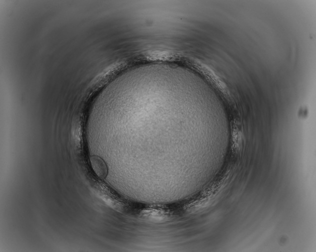 X0000101160211200807111036