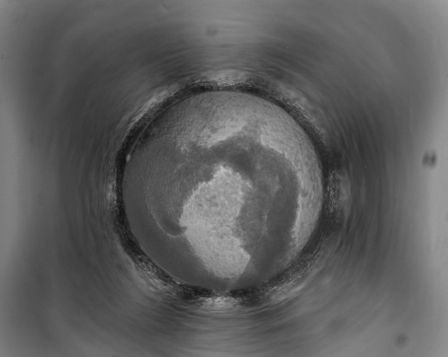 X0000101160212200807111036