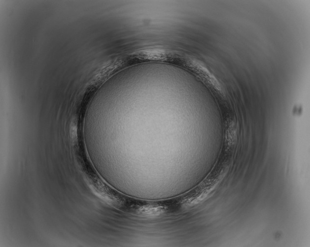 X0000101160213200807111036