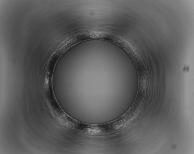 X0000101160214200807111036