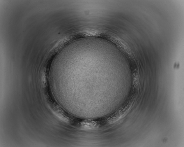 X0000101160215200807111036