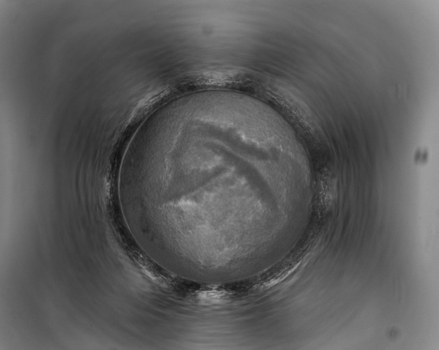 X0000101160216200807111036