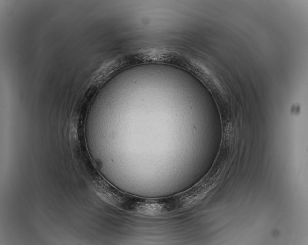 X0000101160217200807111036