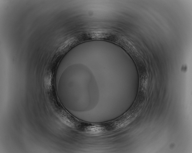 X0000101160219200807111036