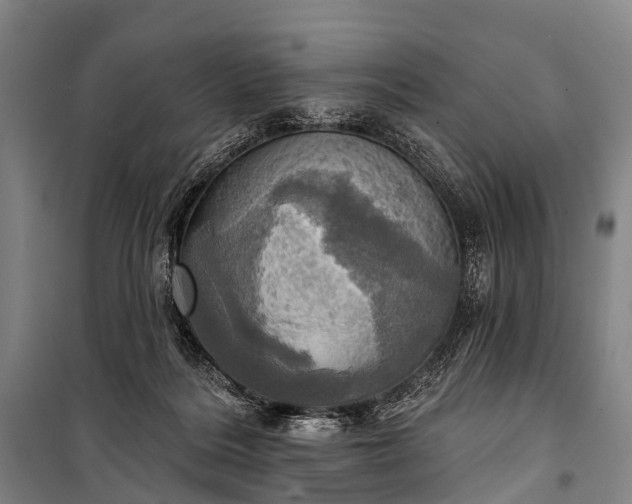 X0000101160220200807111036