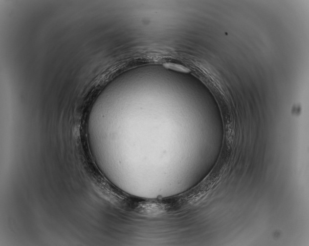 X0000101160221200807111036