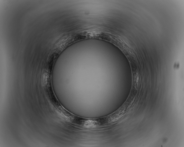 X0000101160222200807111036