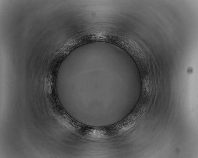 X0000101160223200807111036