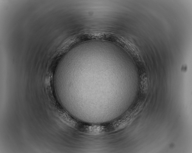 X0000101160225200807111036