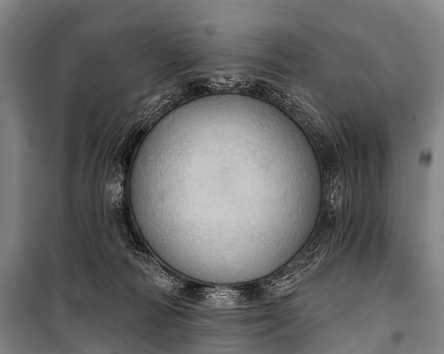 X0000101160226200807111036