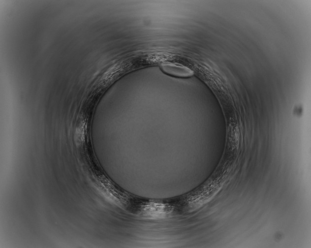 X0000101160227200807111036