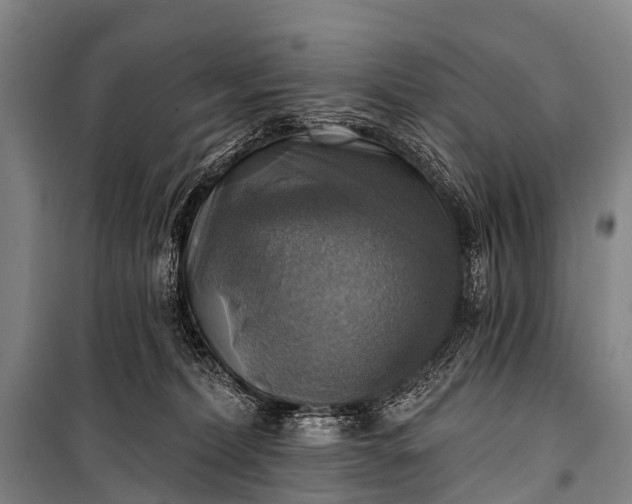 X0000101160228200807111036