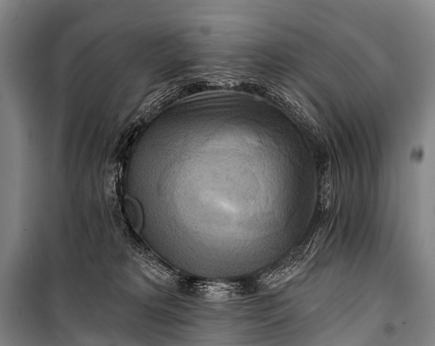 X0000101160229200807111036