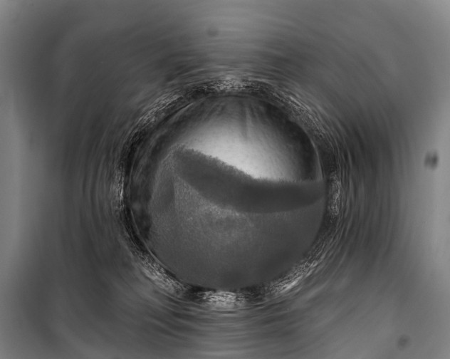 X0000101160230200807111036